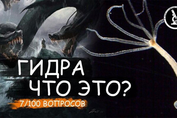 Официальный сайт kraken kraken clear com