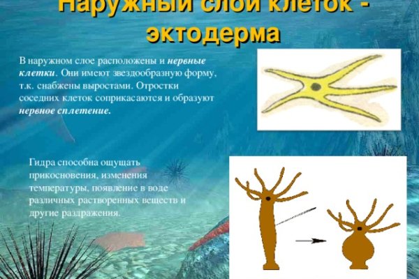 Кракен официальная ссылка